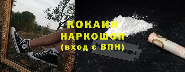 метадон Алексин