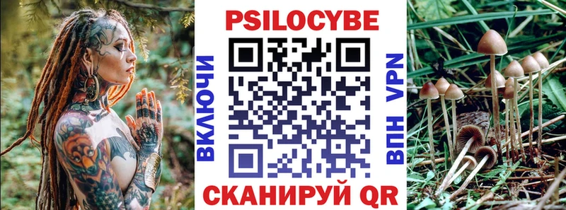Псилоцибиновые грибы Psilocybine cubensis  Апрелевка 